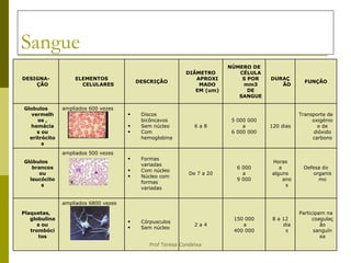 Sangue Participam na coagulação sanguínea 8 a 12 dias 150 000 a 400 000 2 a 4 Córpusculos Sem núcleo ampliados 6800 vezes Plaquetas, globulinas ou trombócitos Defesa do organismo Horas a alguns anos 6 000 a 9 000 De 7 a 20 Formas variadas Com núcleo Núcleo com formas variadas ampliados 500 vezes Glóbulos brancos ou leucócitos Transporte de oxigénio e de dióxido carbono 120 dias 5 000 000 a 6 000 000 6 a 8 Discos bicôncavos Sem núcleo Com hemoglobina ampliados 600 vezes Globulos vermelhos , hemácias ou eritrócitos FUNÇÃO DURAÇÃO NÚMERO DE CÉLULAS POR mm3 DE SANGUE DIÂMETRO APROXIMADO EM (um) DESCRIÇÃO ELEMENTOS CELULARES DESIGNA-ÇÃO 