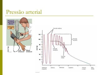 Pressão arterial 