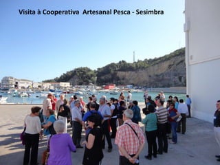 Visita à Cooperativa Artesanal Pesca - Sesimbra
 