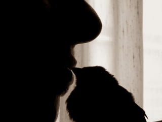 Imagens sem palavras