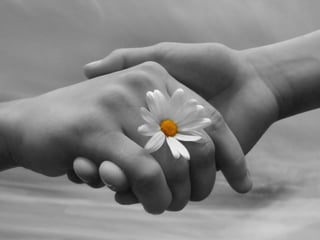 Imagens sem palavras