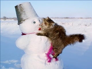 Imagens sem palavras