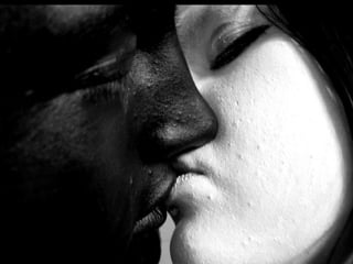 Imagens sem palavras