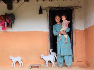 Imagens sem palavras