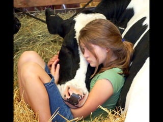 Imagens sem palavras