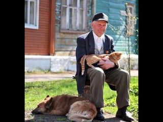 Imagens sem palavras