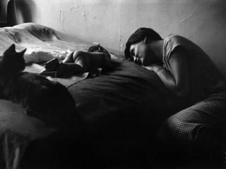 Imagens sem palavras