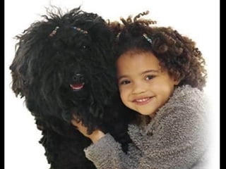 Imagens sem palavras