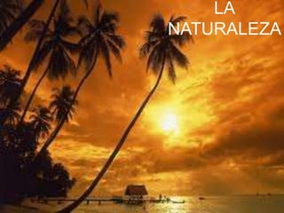 LA 
NATURALEZA 
 