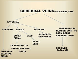 CEREBRAL VEINS-VALVELESS,THIN
EXTERNAL
SUPERIOR MIDDLE
SUPER
FICIAL
DEEP
CAVERNOUS OR
SPHENOPARIETAL
SINUSSUPERIOR
SAGITTAL
SINUS
BASAL
VEIN
INTERNAL-2 IN
NUMBER- JOIN TO
FORM GREAT
CEREBRAL VEIN
INFERIOR
SUP.CER.VN
OR CAV.SIN.
BASAL VN
RECEIVES
 