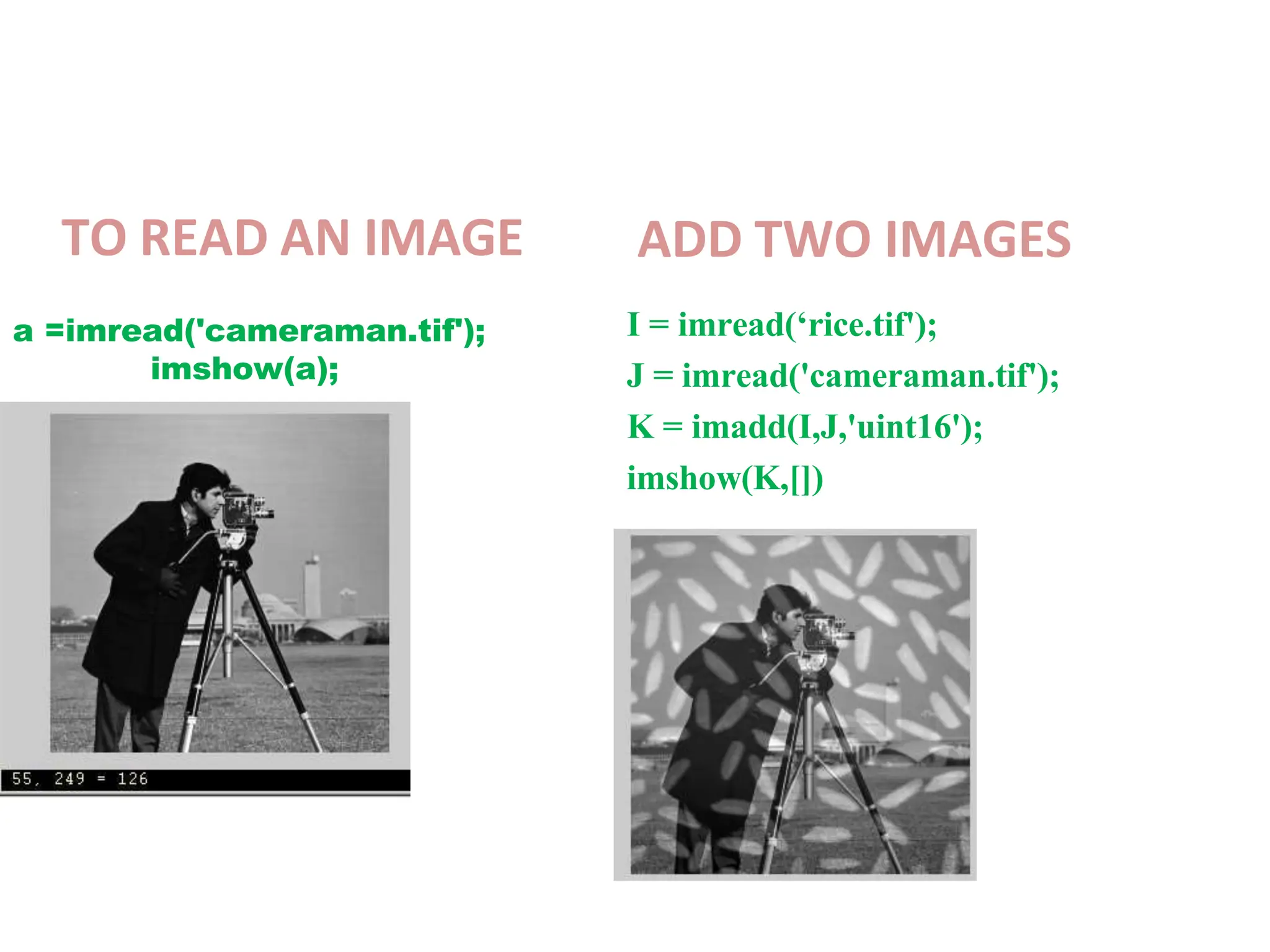 TO READ AN IMAGE
a =imread('cameraman.tif');
imshow(a);
ADD TWO IMAGES
I = imread(‘rice.tif');
J = imread('cameraman.tif');
K = imadd(I,J,'uint16');
imshow(K,[])
 