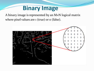 Image proceesing with matlab | PPTX