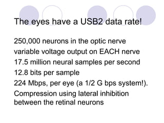 The eyes have a USB2 data rate!
250,000 neurons in the optic nerve
variable voltage output on EACH nerve
17.5 million neural samples per second
12.8 bits per sample
224 Mbps, per eye (a 1/2 G bps system!).
Compression using lateral inhibition
between the retinal neurons
 