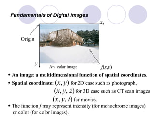 An color image
Fundamentals of Digital Images
f(x,y)
x
y
w An image: a multidimensional function of spatial coordinates.
w Spatial coordinate: (x, y) for 2D case such as photograph,
(x, y, z) for 3D case such as CT scan images
(x, y, t) for movies.
w The function f may represent intensity (for monochrome images)
or color (for color images).
Origin
 