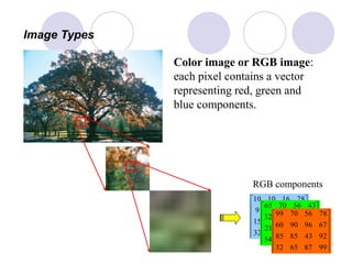 











39871532
22132515
372669
28161010












39656554
42475421
67965432
43567065












99876532
92438585
67969060
78567099
Image Types
Color image or RGB image:
each pixel contains a vector
representing red, green and
blue components.
RGB components
 