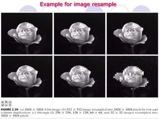 Example for image resample
 