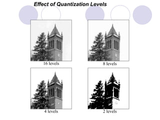 Effect of Quantization Levels
16 levels 8 levels
2 levels4 levels
 