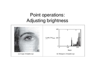 Specialized Services 