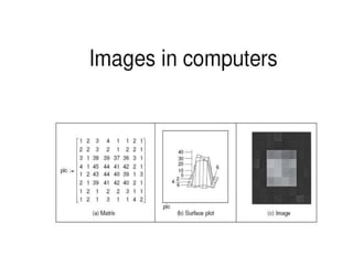Image Processing | PPT