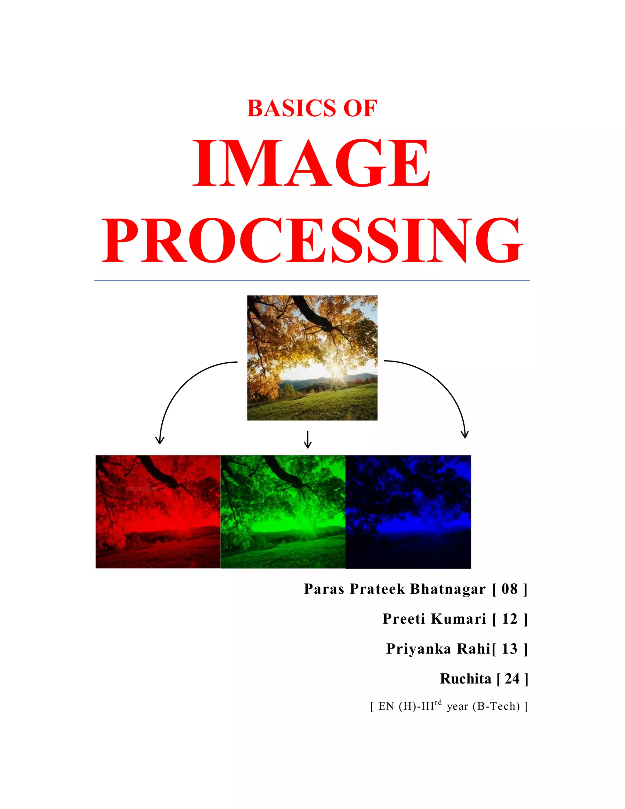 BASICS OF IMAGE PROCESSING Paras Prateek Bhatnagar [ 08 ] Preeti Kumari [ 12 ] Priyanka Rahi[ 13 ] Ruchita [ 24 ] [ EN (H)-III rd year (B-Tech) ] 