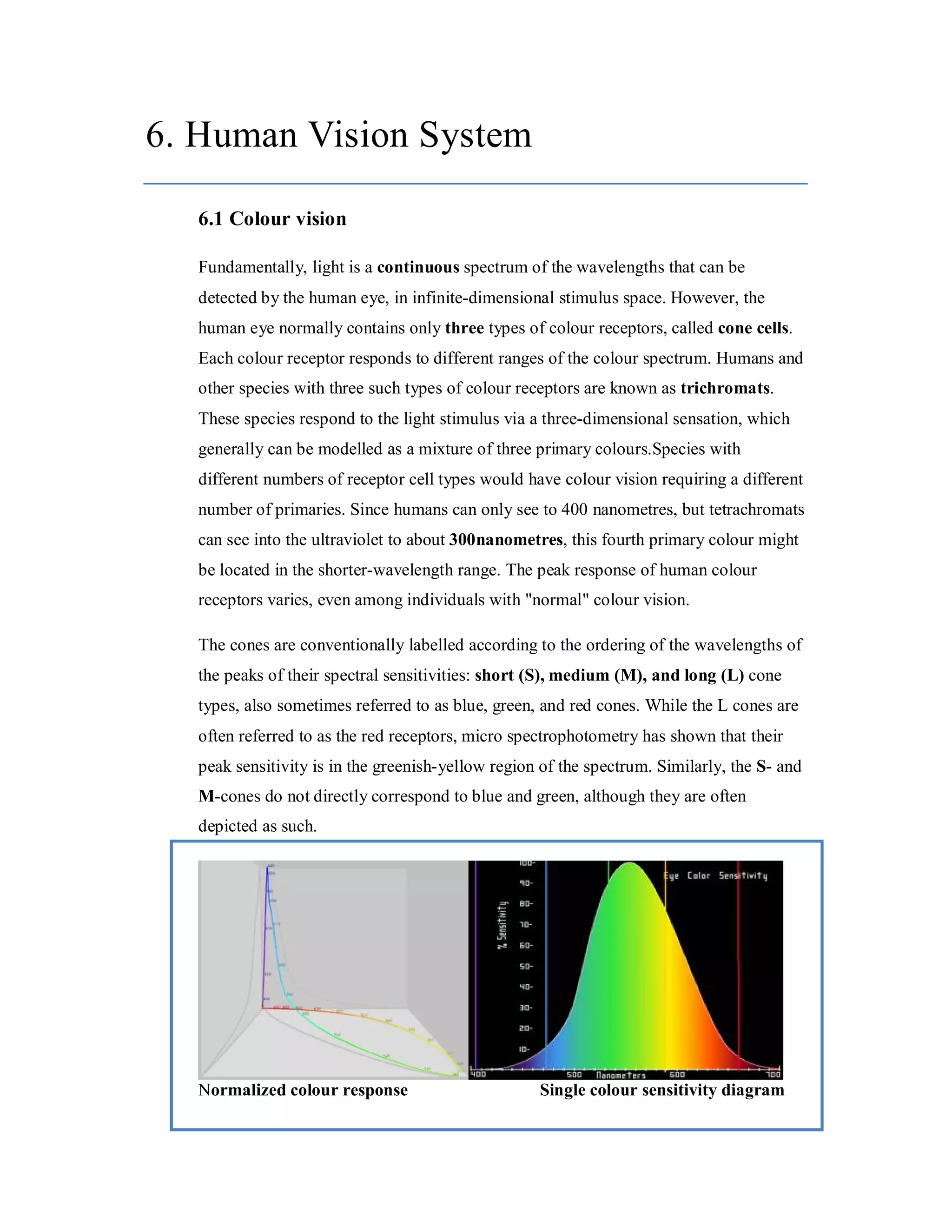 6. Human Vision System 6.1 Colour vision Fundamentally, light is a continuous spectrum of the wavelengths that can be detected by the human eye, in infinite-dimensional stimulus space. However, the human eye normally contains only three types of colour receptors, called cone cells. Each colour receptor responds to different ranges of the colour spectrum. Humans and other species with three such types of colour receptors are known as trichromats. These species respond to the light stimulus via a three-dimensional sensation, which generally can be modelled as a mixture of three primary colours.Species with different numbers of receptor cell types would have colour vision requiring a different number of primaries. Since humans can only see to 400 nanometres, but tetrachromats can see into the ultraviolet to about 300nanometres, this fourth primary colour might be located in the shorter-wavelength range. The peak response of human colour receptors varies, even among individuals with "normal" colour vision. The cones are conventionally labelled according to the ordering of the wavelengths of the peaks of their spectral sensitivities: short (S), medium (M), and long (L) cone types, also sometimes referred to as blue, green, and red cones. While the L cones are often referred to as the red receptors, micro spectrophotometry has shown that their peak sensitivity is in the greenish-yellow region of the spectrum. Similarly, the S- and M-cones do not directly correspond to blue and green, although they are often depicted as such. Normalized colour response Single colour sensitivity diagram 