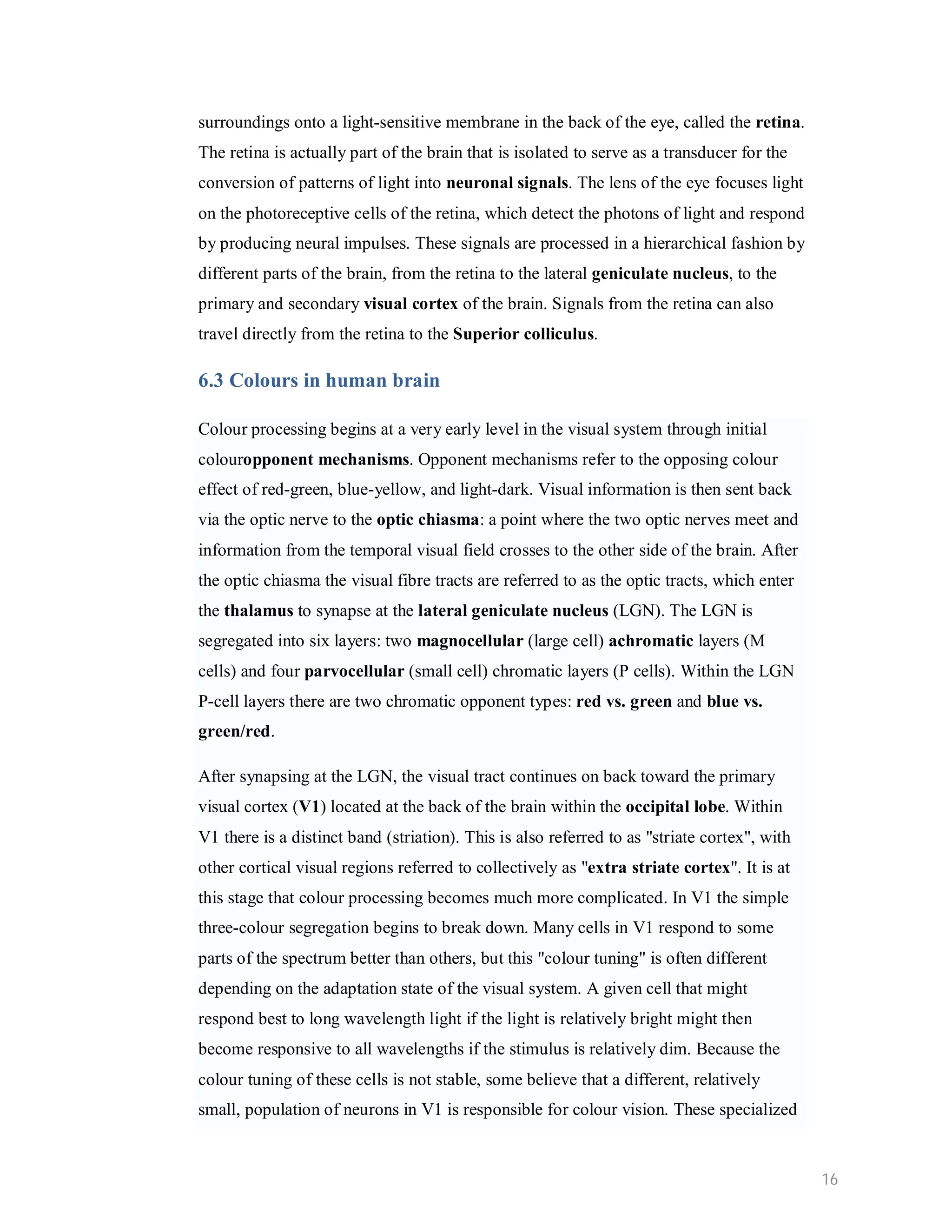 surroundings onto a light-sensitive membrane in the back of the eye, called the retina. The retina is actually part of the brain that is isolated to serve as a transducer for the conversion of patterns of light into neuronal signals. The lens of the eye focuses light on the photoreceptive cells of the retina, which detect the photons of light and respond by producing neural impulses. These signals are processed in a hierarchical fashion by different parts of the brain, from the retina to the lateral geniculate nucleus, to the primary and secondary visual cortex of the brain. Signals from the retina can also travel directly from the retina to the Superior colliculus. 6.3 Colours in human brain Colour processing begins at a very early level in the visual system through initial colouropponent mechanisms. Opponent mechanisms refer to the opposing colour effect of red-green, blue-yellow, and light-dark. Visual information is then sent back via the optic nerve to the optic chiasma: a point where the two optic nerves meet and information from the temporal visual field crosses to the other side of the brain. After the optic chiasma the visual fibre tracts are referred to as the optic tracts, which enter the thalamus to synapse at the lateral geniculate nucleus (LGN). The LGN is segregated into six layers: two magnocellular (large cell) achromatic layers (M cells) and four parvocellular (small cell) chromatic layers (P cells). Within the LGN P-cell layers there are two chromatic opponent types: red vs. green and blue vs. green/red. After synapsing at the LGN, the visual tract continues on back toward the primary visual cortex (V1) located at the back of the brain within the occipital lobe. Within V1 there is a distinct band (striation). This is also referred to as "striate cortex", with other cortical visual regions referred to collectively as "extra striate cortex". It is at this stage that colour processing becomes much more complicated. In V1 the simple three-colour segregation begins to break down. Many cells in V1 respond to some parts of the spectrum better than others, but this "colour tuning" is often different depending on the adaptation state of the visual system. A given cell that might respond best to long wavelength light if the light is relatively bright might then become responsive to all wavelengths if the stimulus is relatively dim. Because the colour tuning of these cells is not stable, some believe that a different, relatively small, population of neurons in V1 is responsible for colour vision. These specialized 16 