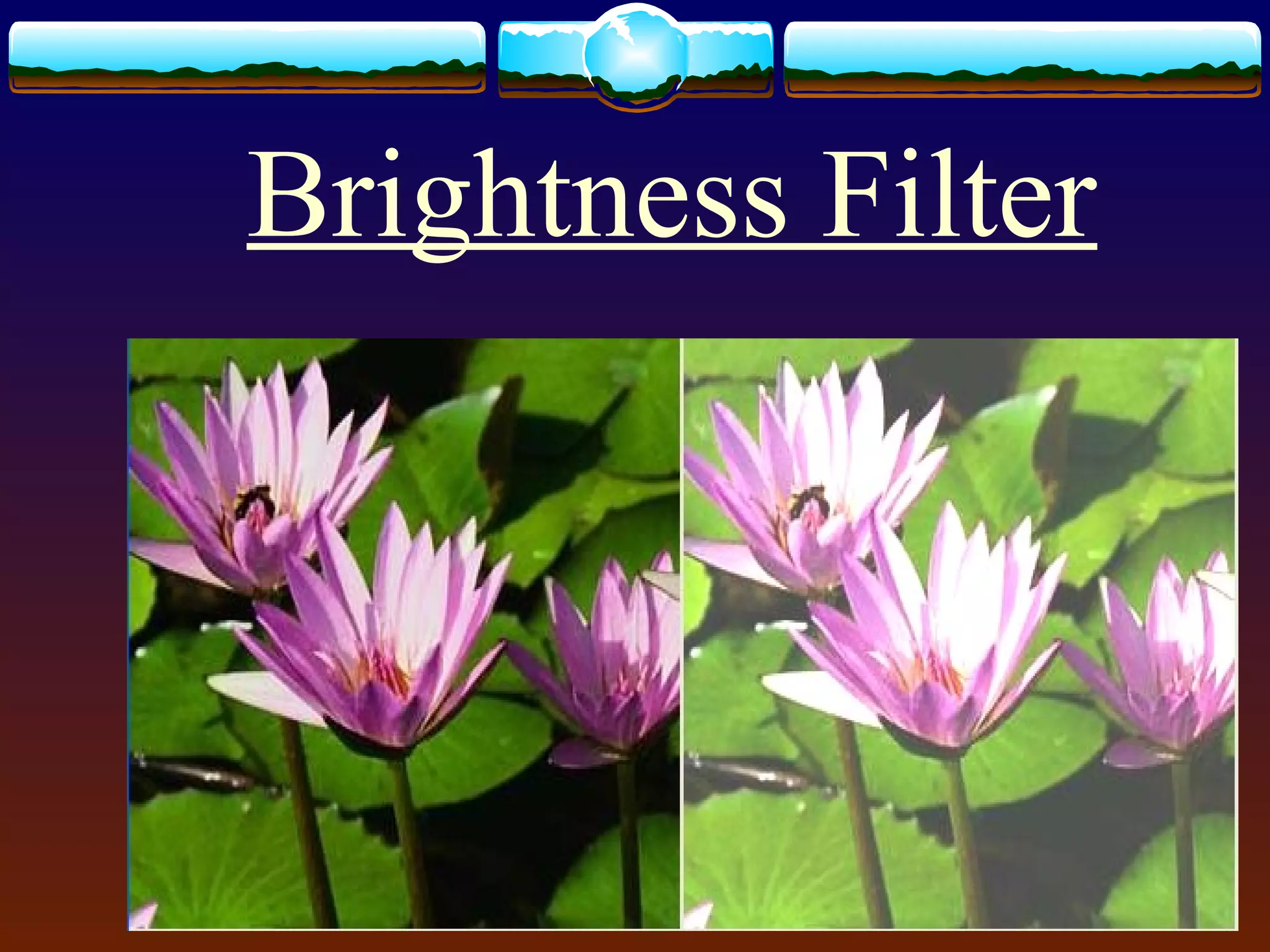 Brightness Filter
 