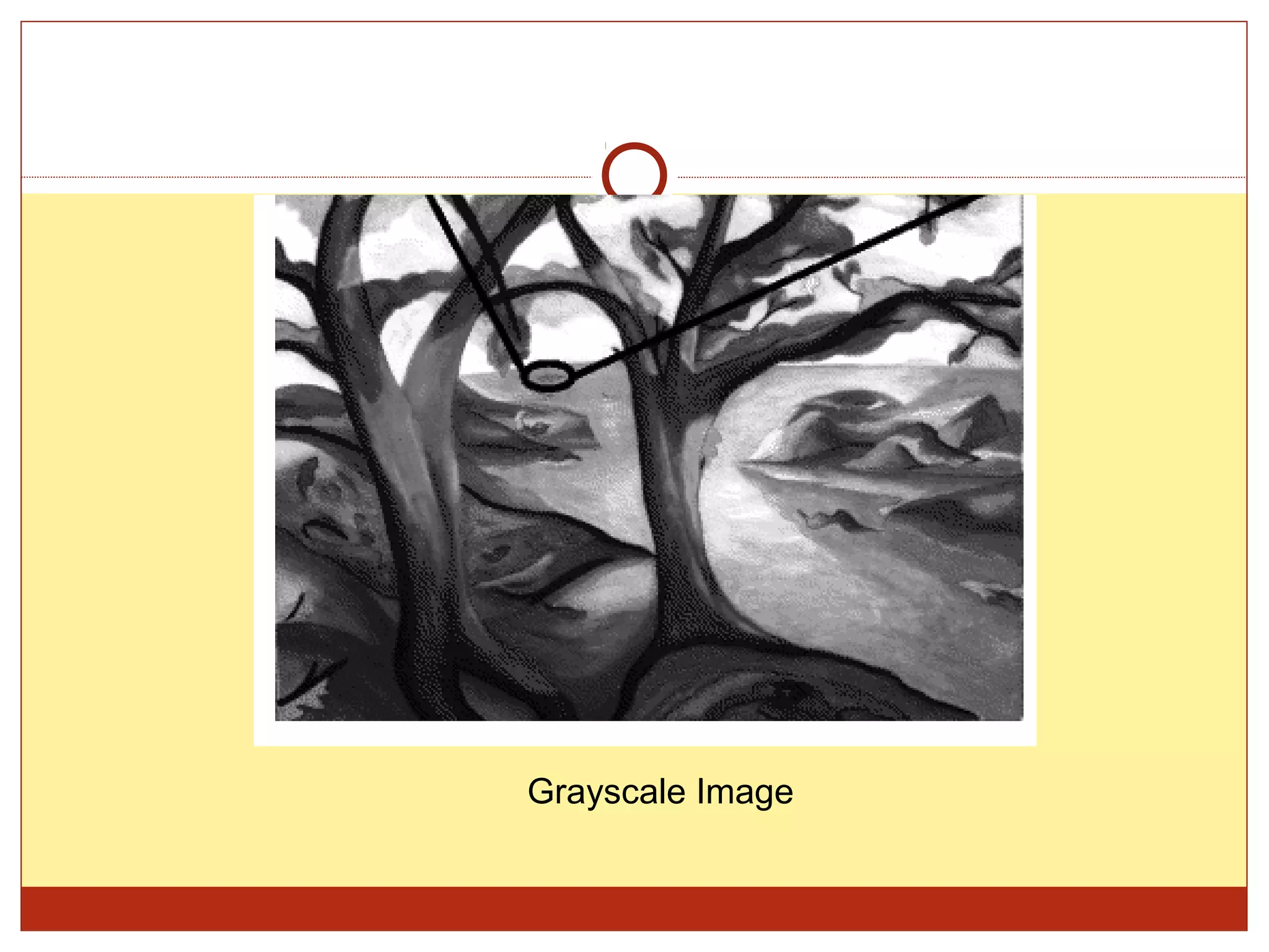 Grayscale Image
 