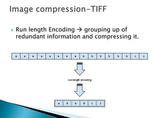 Image processing and compression techniques | PPTX