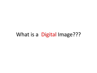 What is a Digital Image??? 
 
