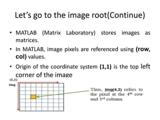 Let’s go to the image root(Continue) 
• MATLAB (Matrix Laboratory) stores images as 
matrices. 
• In MATLAB, image pixels are referenced using (row, 
col) values. 
• Origin of the coordinate system (1,1) is the top left 
corner of the image 
 