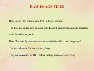 RAW IMAGE FILES
• Raw image files contain data from a digital camera.
• The files are called raw because they haven’t been processed and therefore
can’t be edited or printed.
• Raw files usually contain a vast amount of data that is uncompressed.
• The size of a raw file is extremely large.
• They are converted to TIFF before editing and color-correcting
 