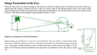 Image Formation in the Eye:
When the lens of the eye focus an image of the outside world onto a light-sensitive membrane in the back of the eye,
called retina the image is formed. The lens of the eye focuses light on the photoreceptive cells of the retina which
detects the photons of light and responds by producing neural impulses. The distance between the lens and the retina
is about 17mm and the focal length is approximately 14mm to 17mm.
Brightness Adaptation and Discrimination:
Digital images are displayed as a discrete set of intensities. The eyes ability to discriminate black
and white at different intensity levels is an important consideration in presenting image processing
result. The range of light intensity levels to which the human visual system can adapt is of the
order of 1010 from the scotopic threshold to the glare limit. In a photopic vision, the range is about
106.
 