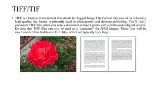 TIFF/TIF
• TIFF is a lossless raster format that stands for Tagged Image File Format. Because of its extremely
high quality, the format is primarily used in photography and desktop publishing. You’ll likely
encounter TIFF files when you scan a document or take a photo with a professional digital camera.
Do note that TIFF files can also be used as a “container” for JPEG images. These files will be
much smaller than traditional TIFF files, which are typically very large.
 