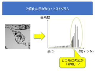 2値化の手がかり：ヒストグラム
黒(0) 白(２５６)
画素数
どうもこの辺が
「背景」？
 