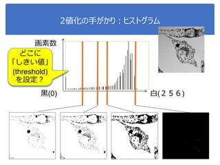 2値化の手がかり：ヒストグラム
黒(0) 白(２５６)
画素数
どこに
「しきい値」
(threshold)
を設定？
 