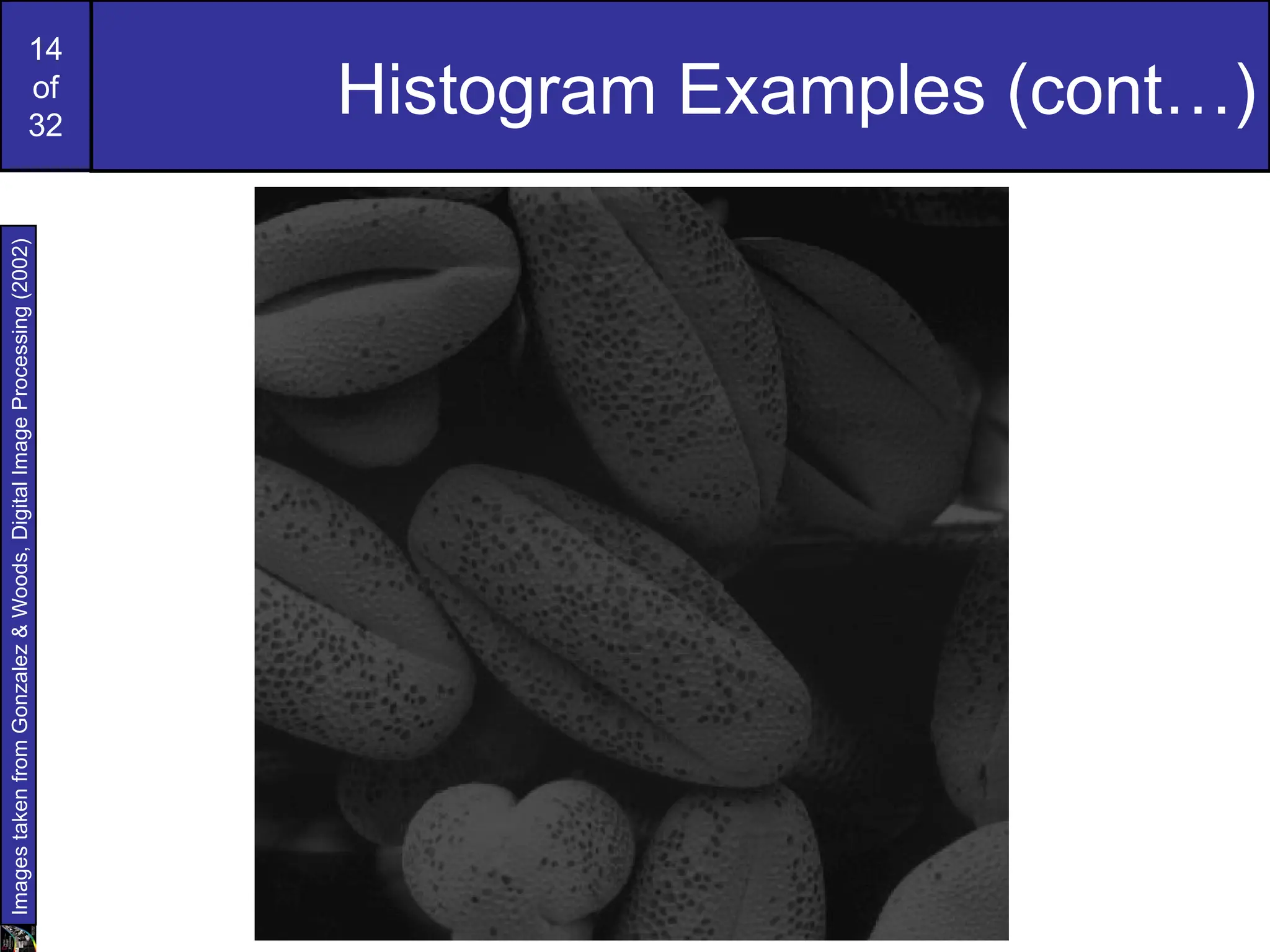 14
of
32
Histogram Examples (cont…)
Images
taken
from
Gonzalez
&
Woods,
Digital
Image
Processing
(2002)
 