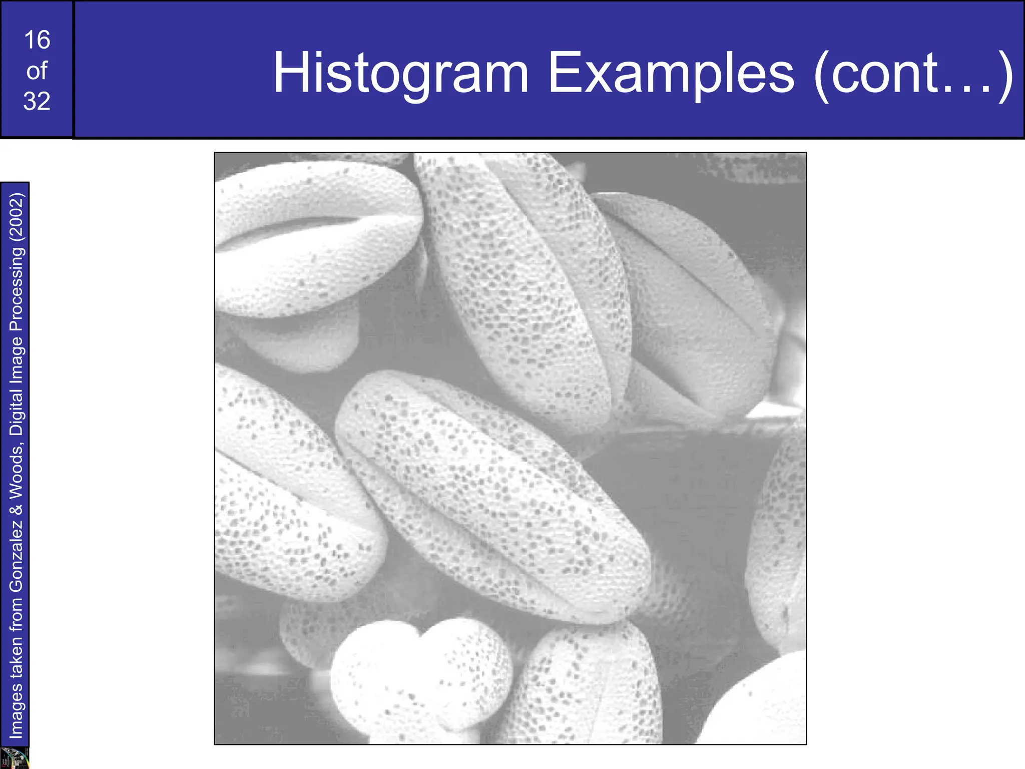 16
of
32
Histogram Examples (cont…)
Images
taken
from
Gonzalez
&
Woods,
Digital
Image
Processing
(2002)
 