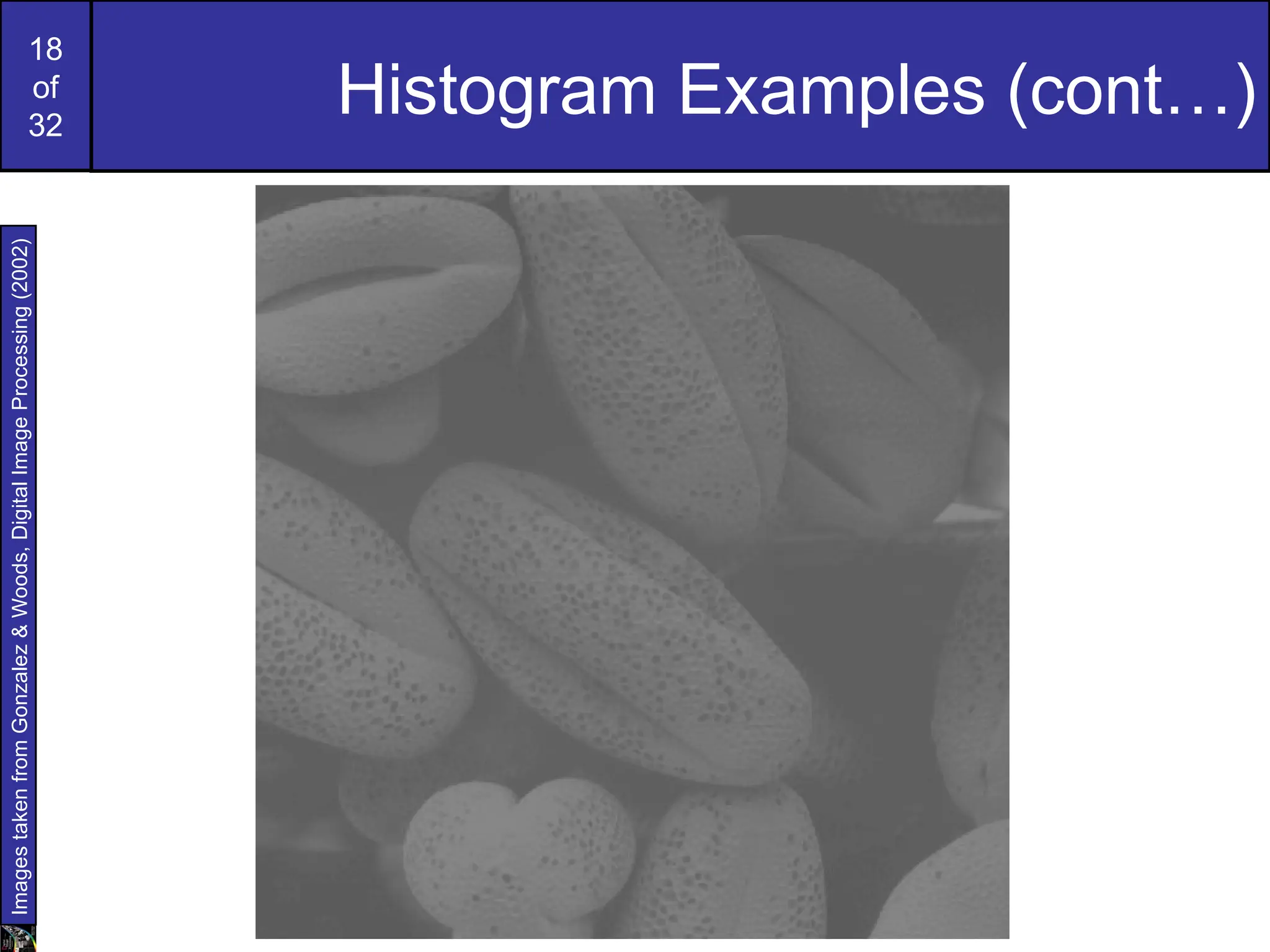 18
of
32
Histogram Examples (cont…)
Images
taken
from
Gonzalez
&
Woods,
Digital
Image
Processing
(2002)
 