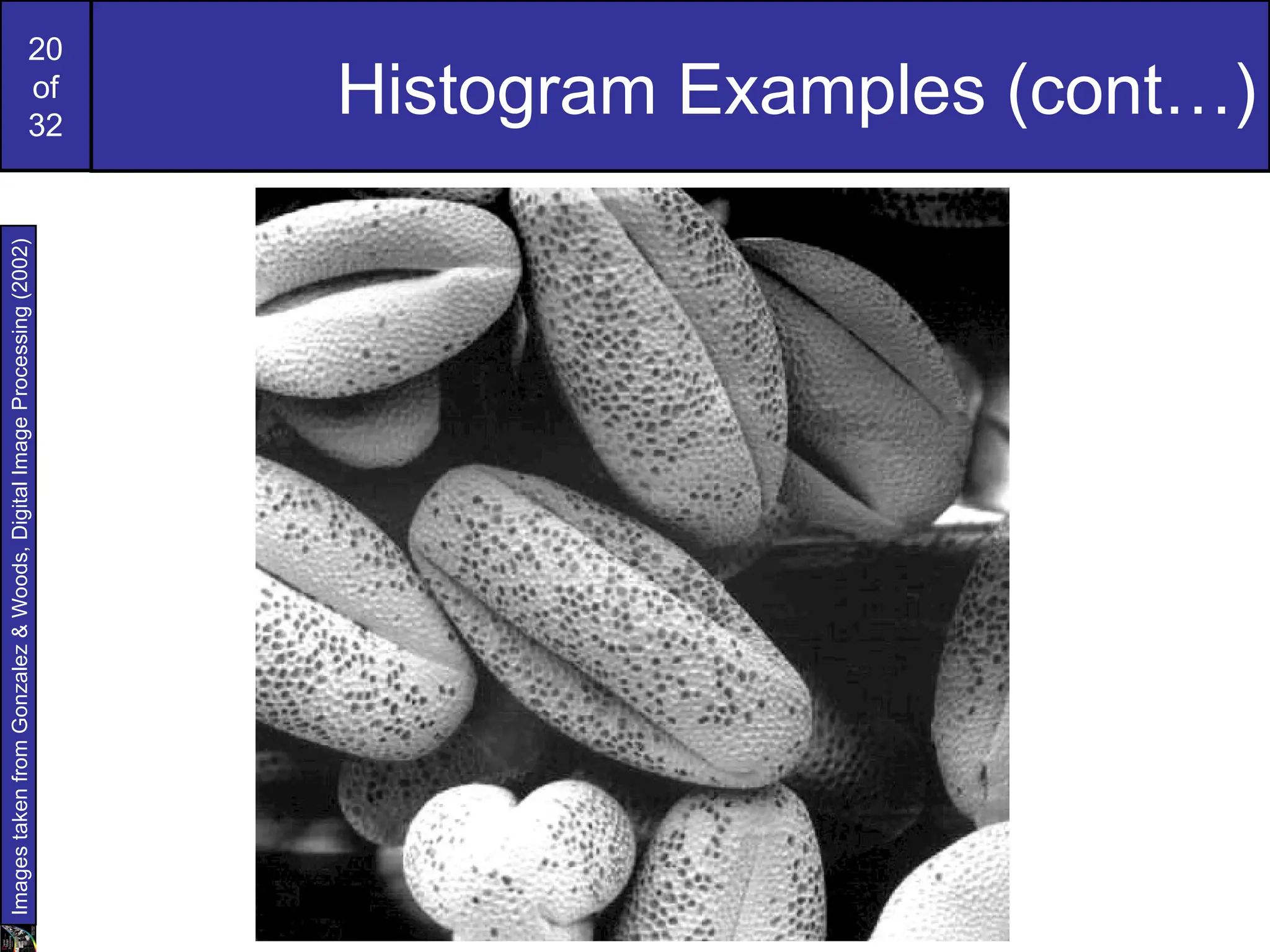 20
of
32
Histogram Examples (cont…)
Images
taken
from
Gonzalez
&
Woods,
Digital
Image
Processing
(2002)
 