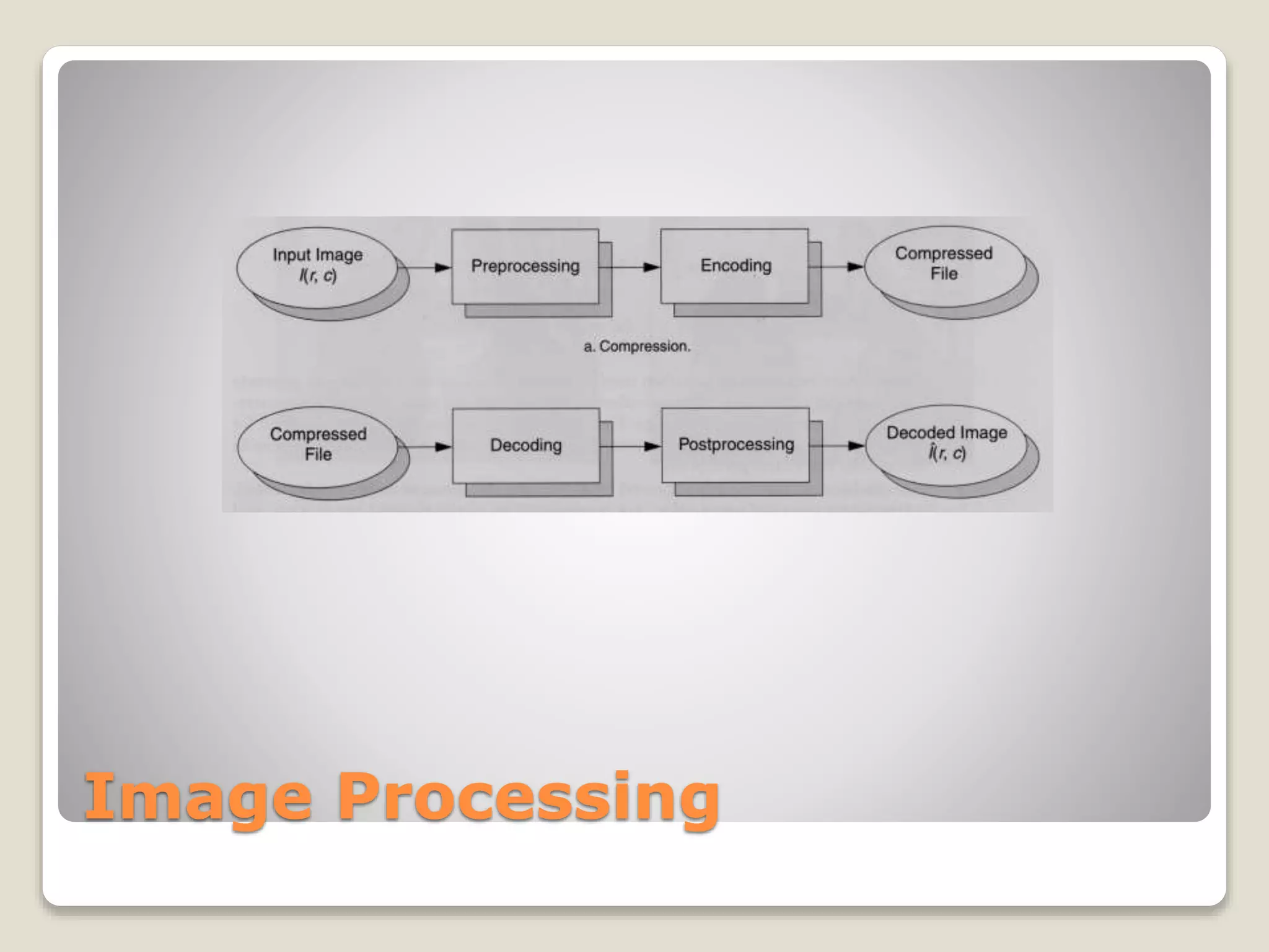 Image Processing
 