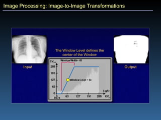 Image Processing: Image-to-Image Transformations 