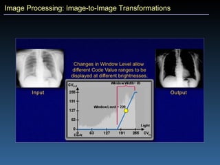 Image Processing: Image-to-Image Transformations 