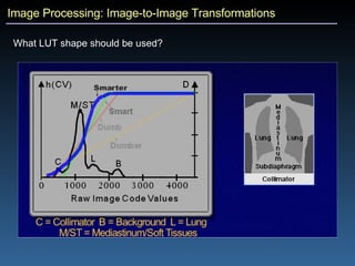 Image Processing: Image-to-Image Transformations What LUT shape should be used? 