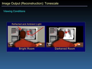 Image Output (Reconstruction): Tonescale Viewing Conditions 