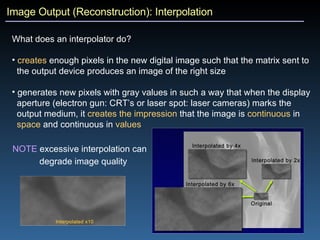 Image Output (Reconstruction): Interpolation What does an interpolator do?   creates  enough pixels in the new digital image such that the matrix sent to  the output device produces an image of the right size generates new pixels with gray values in such a way that when the display  aperture (electron gun: CRT’s or laser spot: laser cameras) marks the  output medium, it  creates the impression  that the image is  continuous  in  space  and continuous in  values NOTE  excessive interpolation can  degrade image quality   