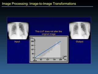 Image Processing: Image-to-Image Transformations 