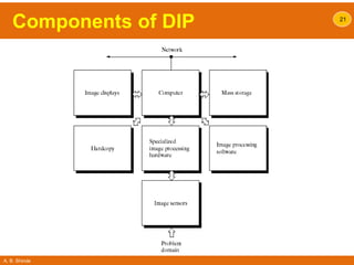 A. B. Shinde
Components of DIP 21
 