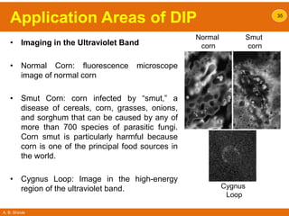 A. B. Shinde
Application Areas of DIP
• Imaging in the Ultraviolet Band
• Normal Corn: fluorescence microscope
image of normal corn
• Smut Corn: corn infected by “smut,” a
disease of cereals, corn, grasses, onions,
and sorghum that can be caused by any of
more than 700 species of parasitic fungi.
Corn smut is particularly harmful because
corn is one of the principal food sources in
the world.
• Cygnus Loop: Image in the high-energy
region of the ultraviolet band.
35
Normal
corn
Smut
corn
Cygnus
Loop
 