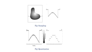 Fig: Sampling
Fig: Quantization
 